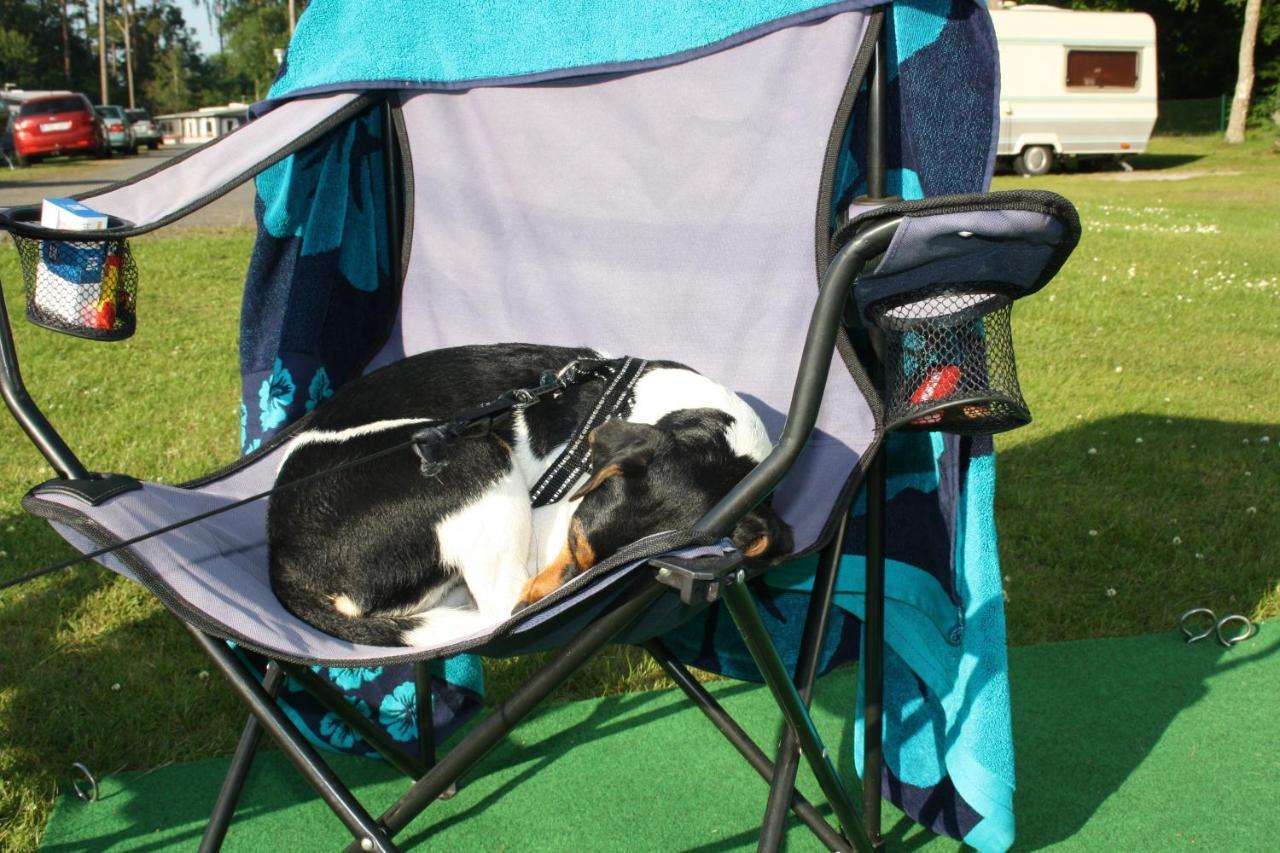 Bromoella Camping O Vandrarhem Εξωτερικό φωτογραφία